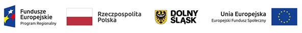 logotypy EFS i Dolny Śląsk